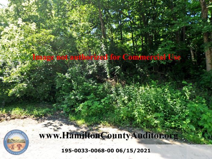 Photo 06/15/2021